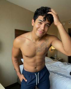 TheDominicanBull